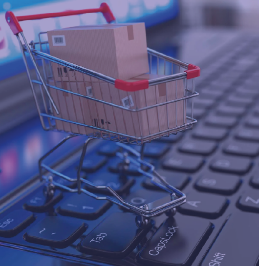 Curso Virtual Creación de Tiendas Online