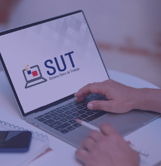 Curso Virtual Experto en Manejo del Sistema IESS & SUT
