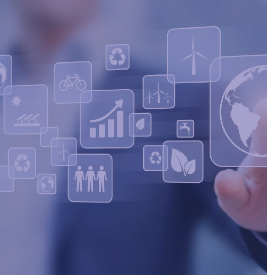 Curso Innovación Empresarial y Creación de Valor